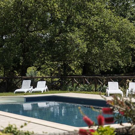 Agriturismo Le Baccane Vinci Eksteriør billede