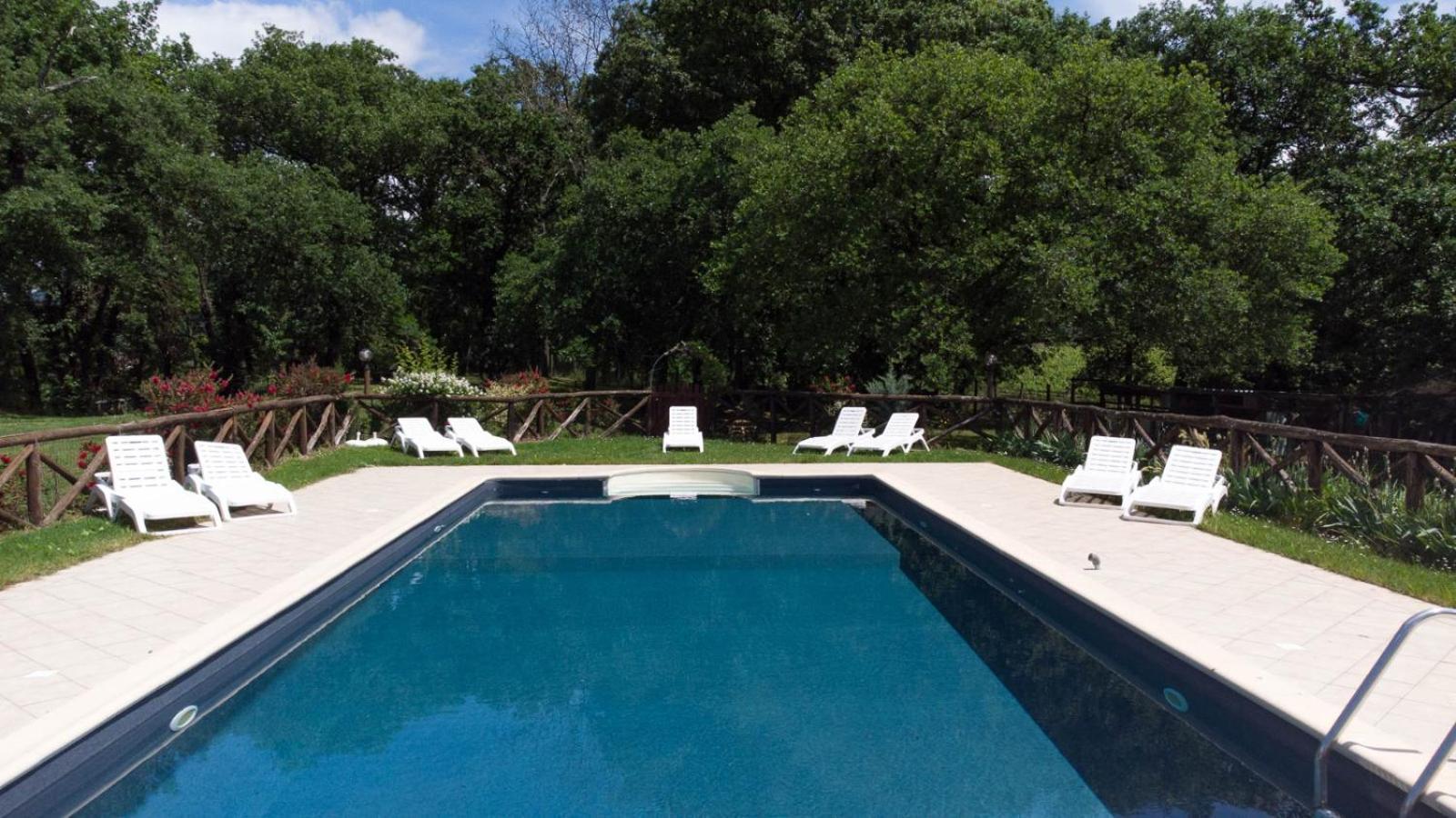 Agriturismo Le Baccane Vinci Eksteriør billede