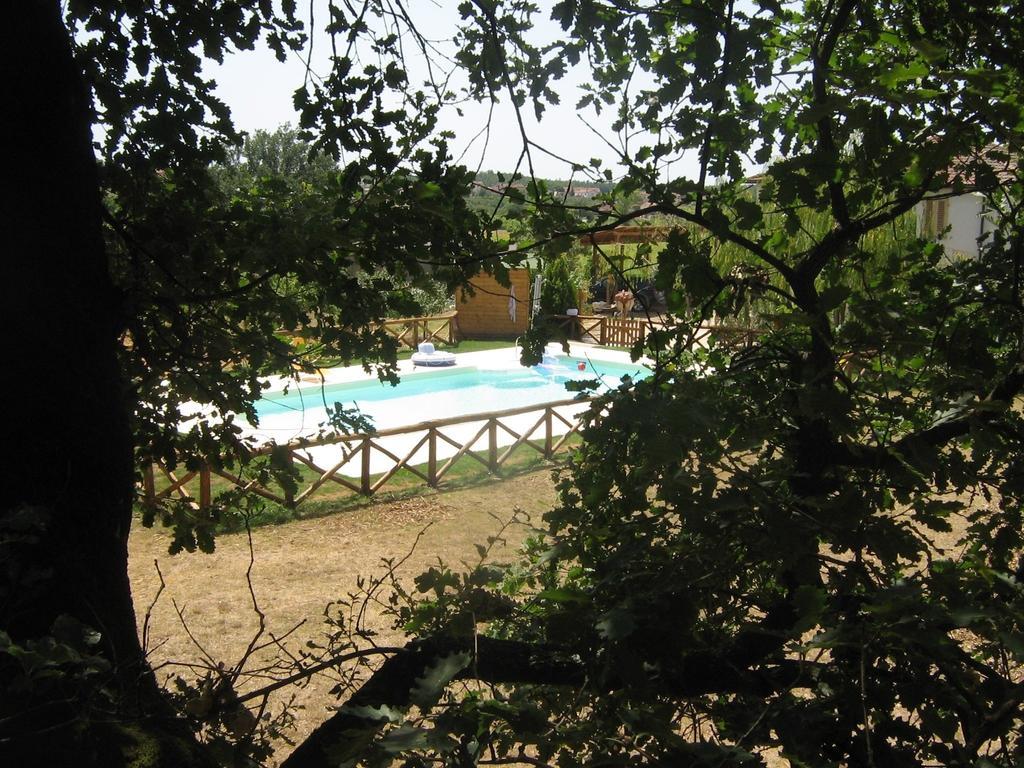 Agriturismo Le Baccane Vinci Eksteriør billede