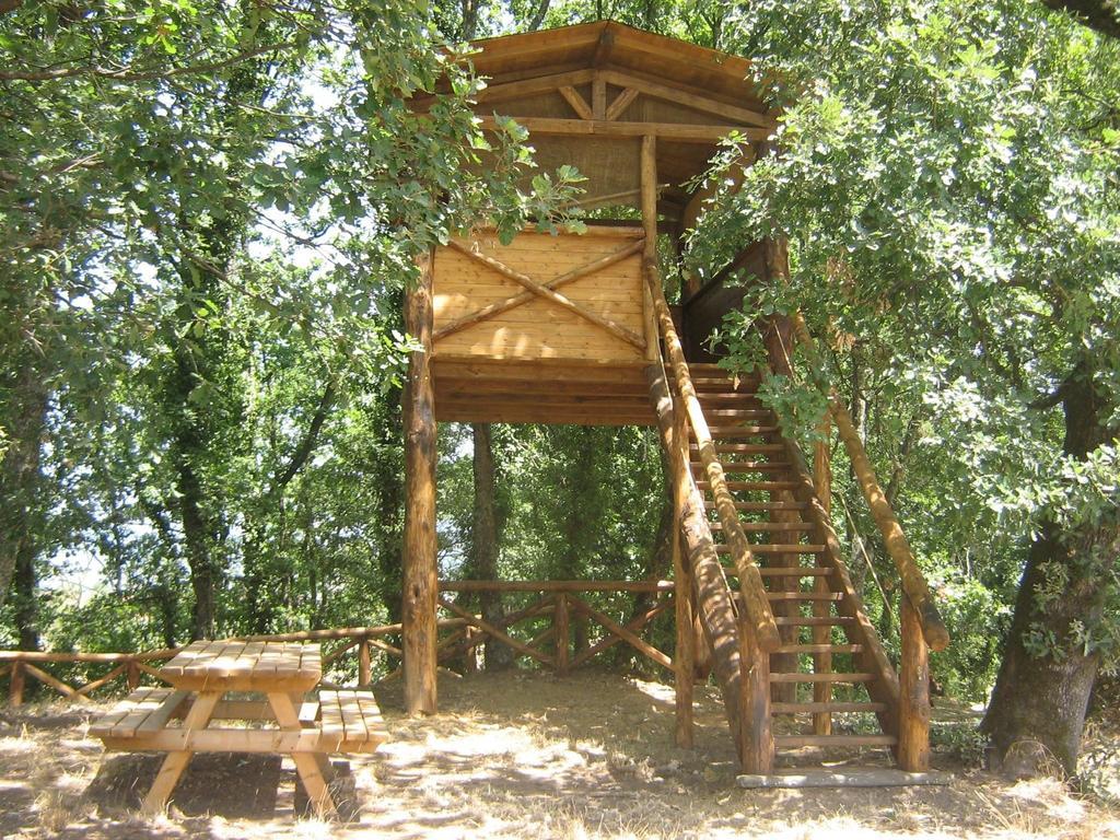 Agriturismo Le Baccane Vinci Eksteriør billede