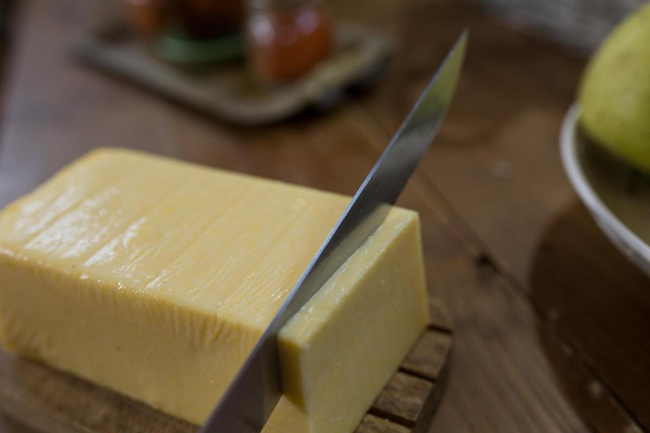 Agriturismo Le Baccane Vinci Eksteriør billede